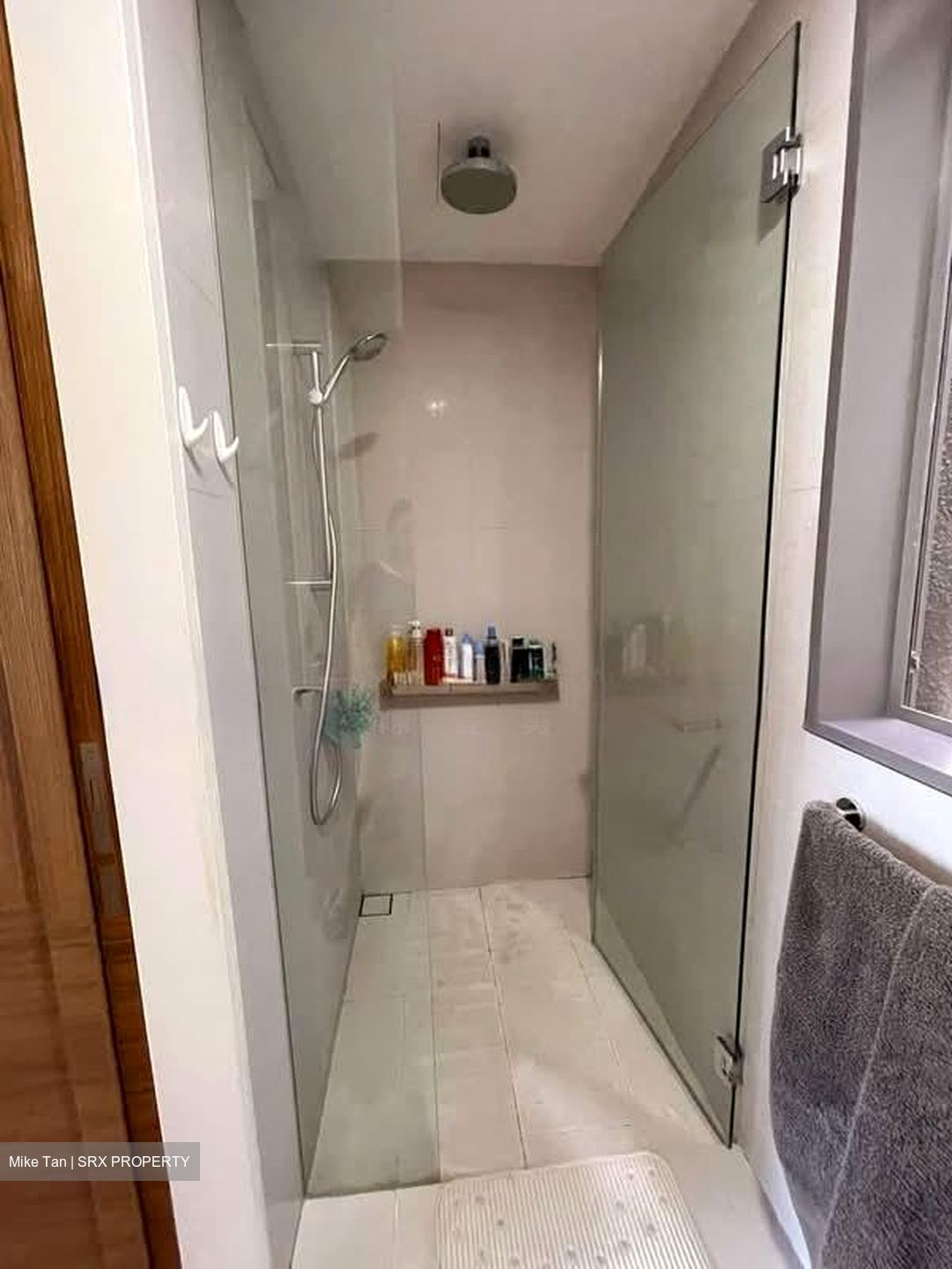 Echelon (D3), Condominium #581849161